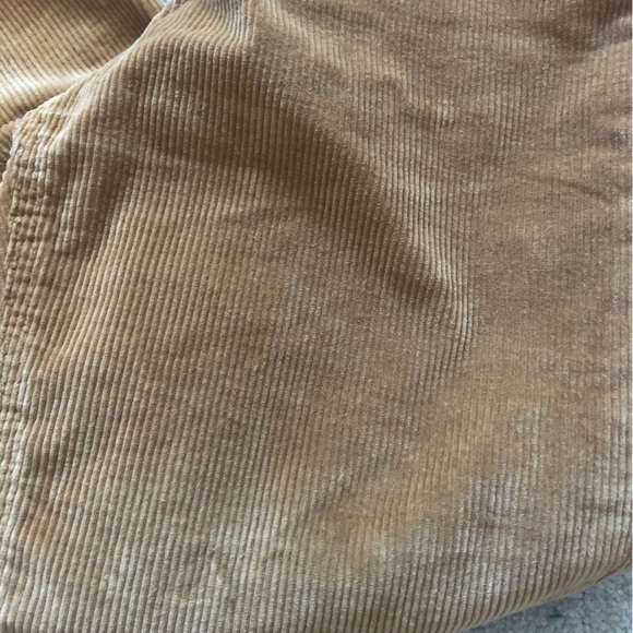 Aritzia Denim Forum Corduroy Yoko High rise Slim (size 25) - Picture 8 of 11